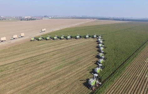 DJI_0850_edited